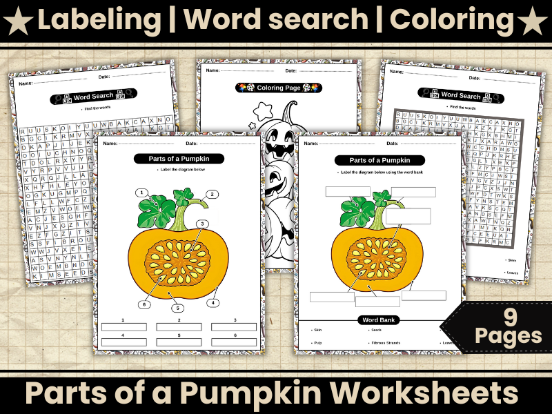 Label Parts of a Pumpkin Diagram-Pumpkin Anatomy,Worksheets,Wordsearch,Coloring-Autumn Science Activ
