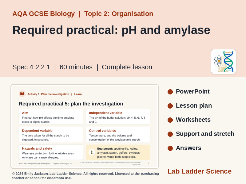 B2-03 Amylase Required Practical: AQA GCSE Biology