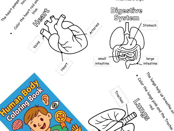 “My Amazing Body – Science Coloring Book for Kids (Human Body Vocabulary in English)”