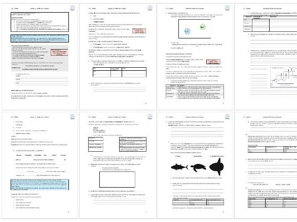 IB Biology: Worksheet 2 A1: Water as a Solvent  (A1.1.5-A1.1.6) SL HL