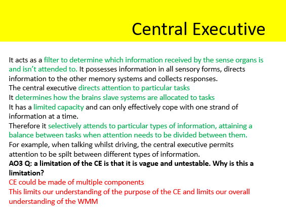 2025 spec AQA Psychology working memory model