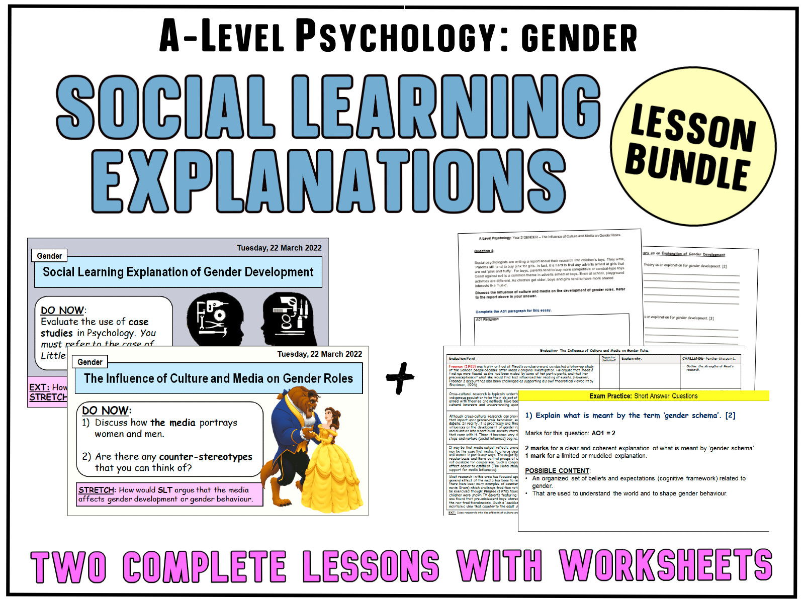 SOCIAL LEARNING EXPLANATIONS OF GENDER ROLES *LESSON BUNDLE* Includes