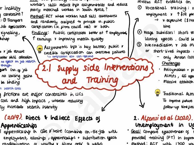 Labour Markets Notes - MSc Economics for Development Revision Notes