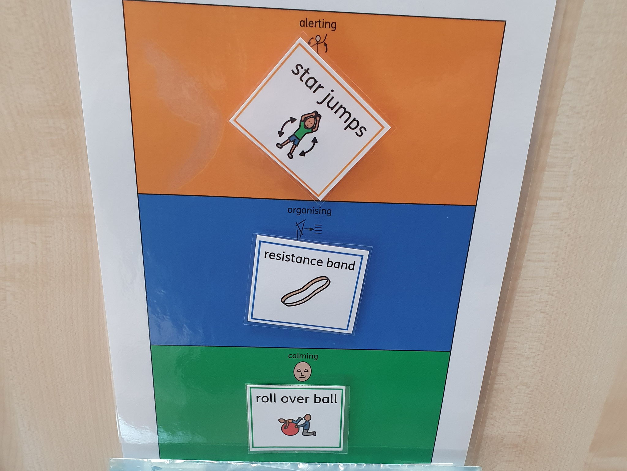 Sensory circuit visual