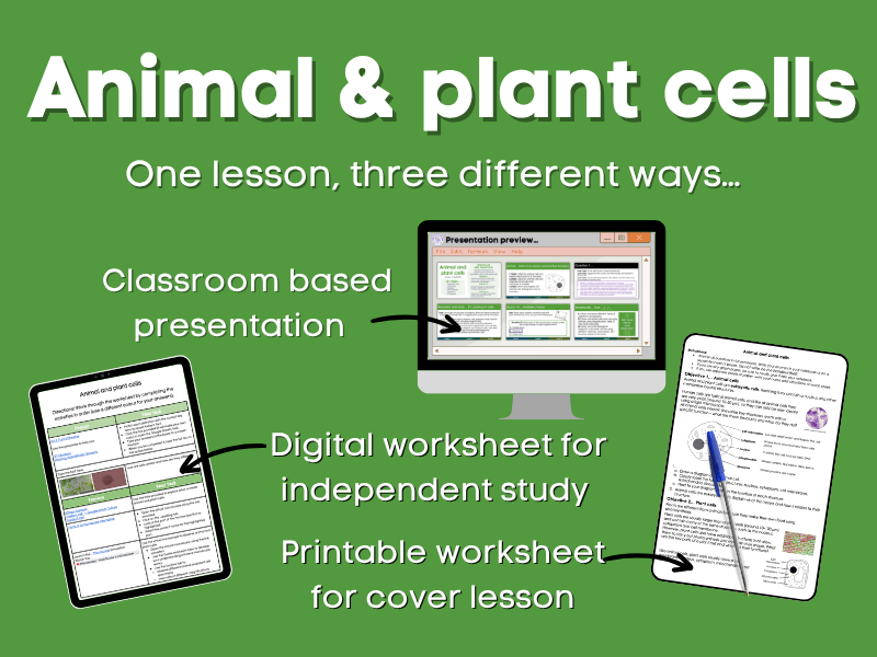Animal and plant cells Lesson bundle