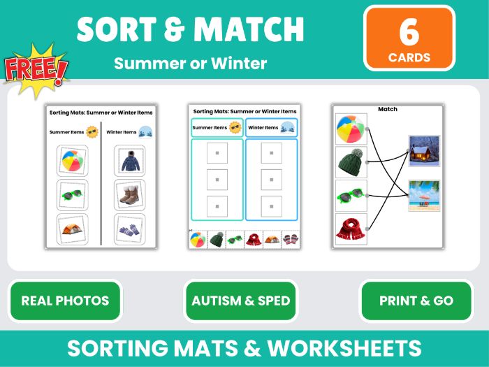 Free Summer Winter Sorting Activities