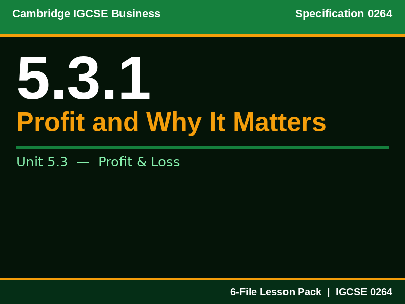 Cambridge IGCSE Business 0264 | 5.3.1 Profit and Its Importance | Lesson Pack
