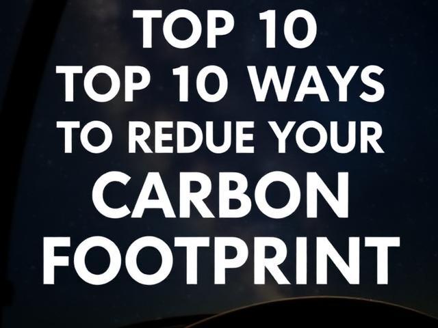 TOP 10 WAYS TO REDUCE YOUR CARBON FOOTPRINT(PARENTS): (A Comprehensive Guide)