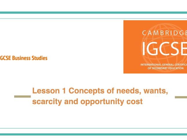 IGCSE Business Studies Full Lesson Pack