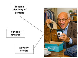 The economics of Vinted (A-level Economics)