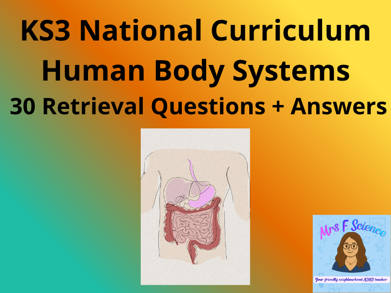 KS3 Science Human Body Systems – 30 Retrieval Questions + Answers