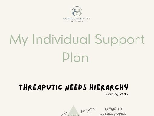 Individual Support Plan