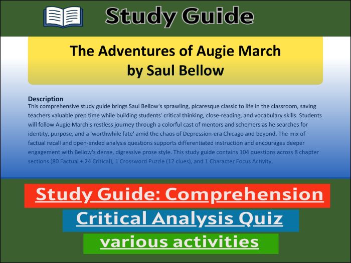 The Adventures of Augie March by Saul Bellow, study guide & Activities