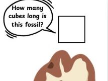Fossils cube measuring