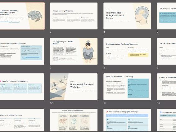 AAQ in Mental Health -  F400 - Topic 2 - The brain and body