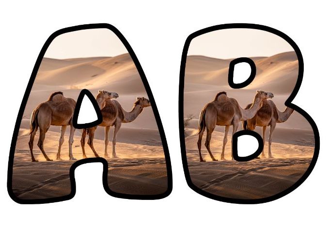 Camels Adaptations Science Lettering Set for Classroom Display | Upper & Lowercase, 0-9 and Signs