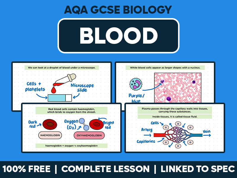 GCSE AQA Biology Complete Lesson - Blood