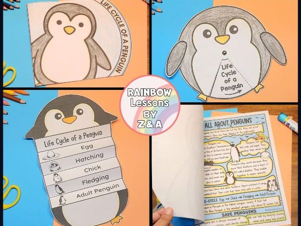 Life Cycle Of A Penguin Crafts | Penguin Activities | All About Penguins