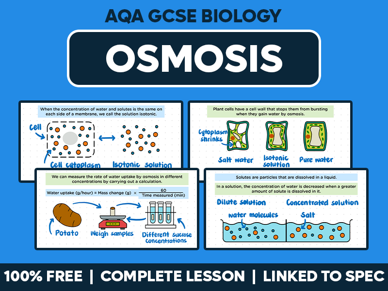 GCSE AQA Biology Complete Lesson - Osmosis