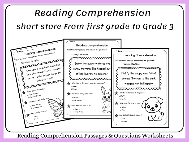 1st Grade - 3rd Grade Reading Comprehension Passages & Questions Worksheets