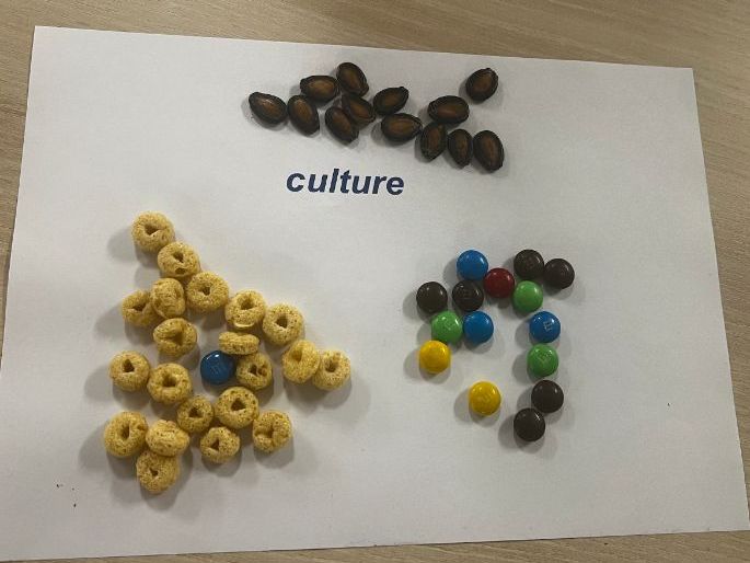 Comprehensive IBDP English B Resource Pack for Culturally Diverse Classrooms