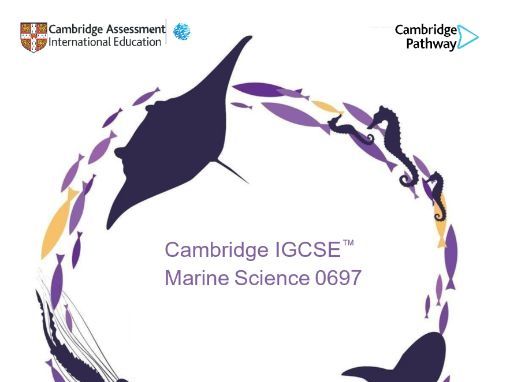Cambridge IGCSE Marine Science 0697,Chapter 2: Sea Water , Worksheet with answer