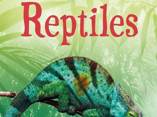 Y2 Reptiles Usborne book comprehension