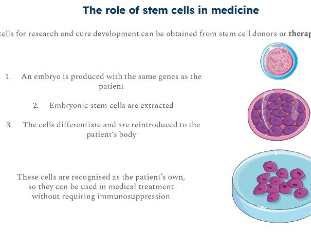 AQA GCSE Cell Division Full Biology Lesson with Practice Questions