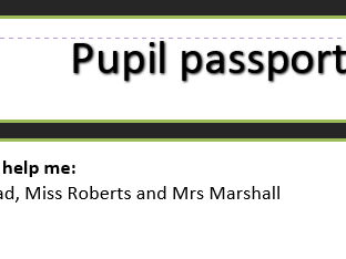 SEN pupil passport example