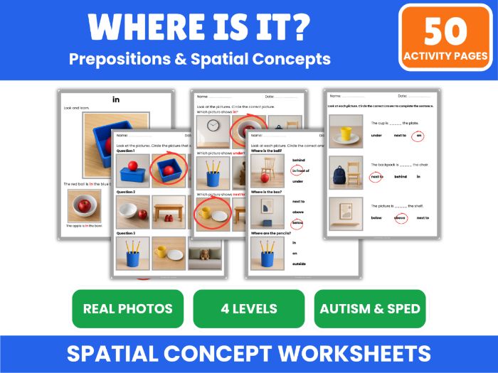 Prepositions & Spatial Concepts Worksheets