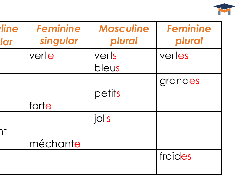 French - Adjective endings worksheet
