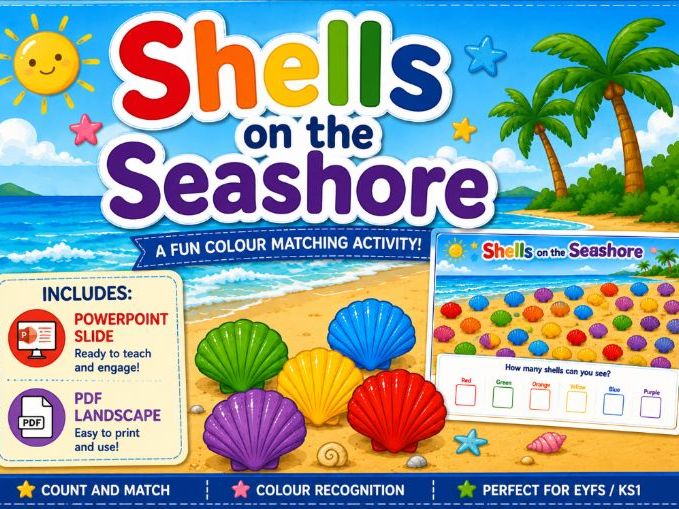 Shells on the Seashore!