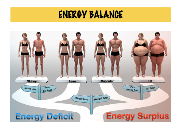 Energy Balance