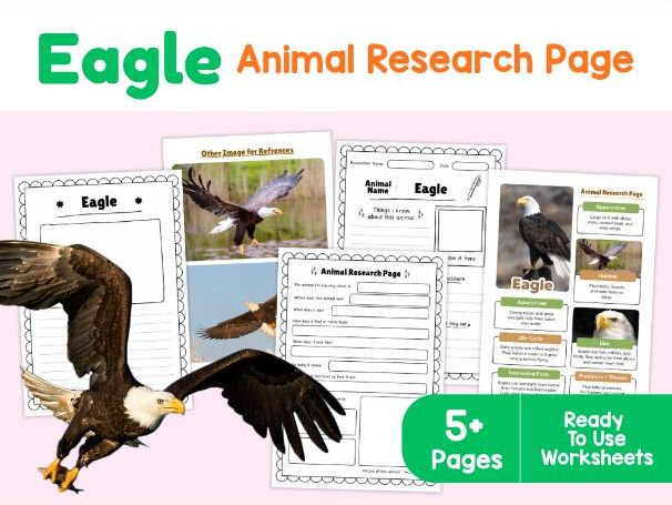 Eagle Animal Research Page | Printable Science Worksheets