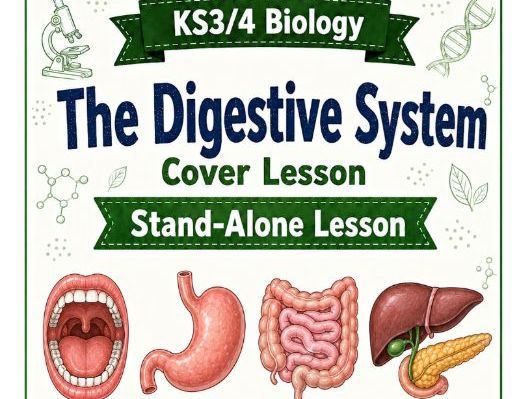 Digestive system cover lesson KS3 KS4 Biology