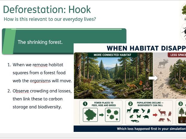 Deforestation