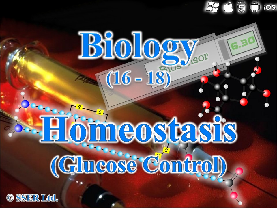 BioA_3.6.4.2 Homeostasis - Glucose Control