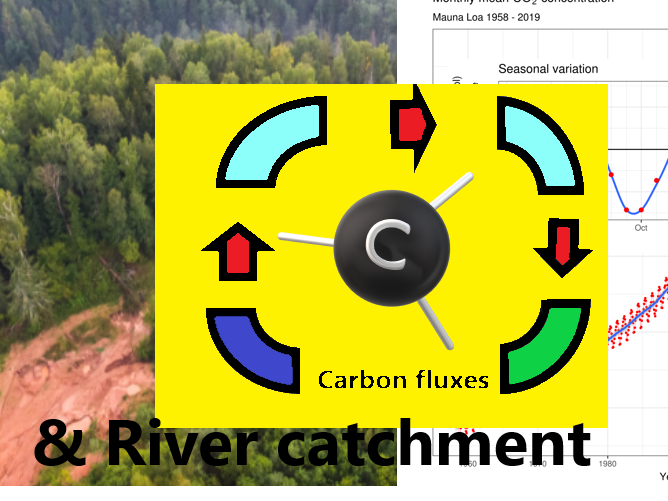 Carbon geography essay image