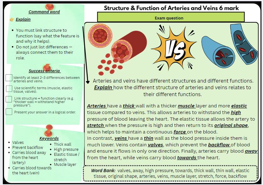 GCSE Biology Paper 1 & Paper 2 – 6 Mark Question MEGA Bundle | 14 Scaffolded Exam Practice Worksheets