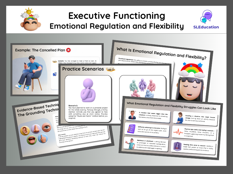 Understanding and Managing Emotional Regulation and Flexibility | Autism | ASD