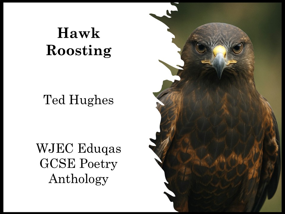 Hawk Roosting