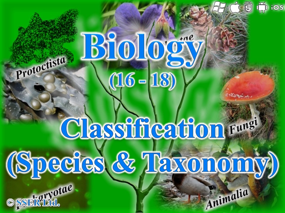 BioA_3.4.5 Classification - Species & Taxonomy