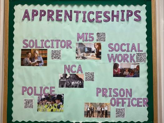 Criminology Careers Apprenticeships Display