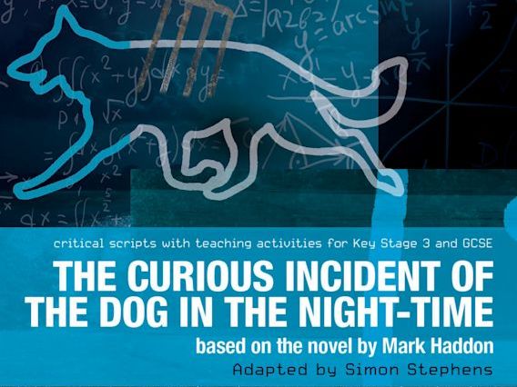 Curious Incident: the play