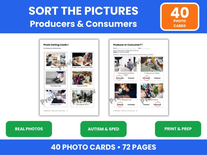 Producers and Consumers Sorting Activities