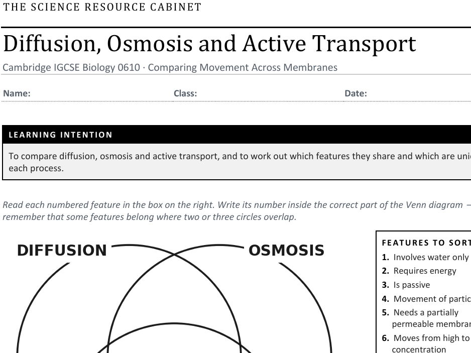 Cell Transport Venn Diagram Sort (diffusion, osmosis & active transport)