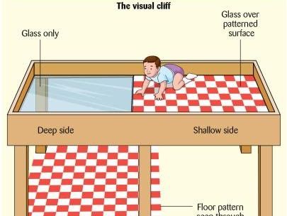 International GCSE Oxford AQA 9218