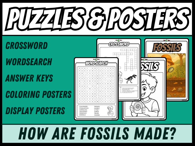 Fossils | Crossword, Wordsearch, Colouring & Display Posters | Year 3 and 4