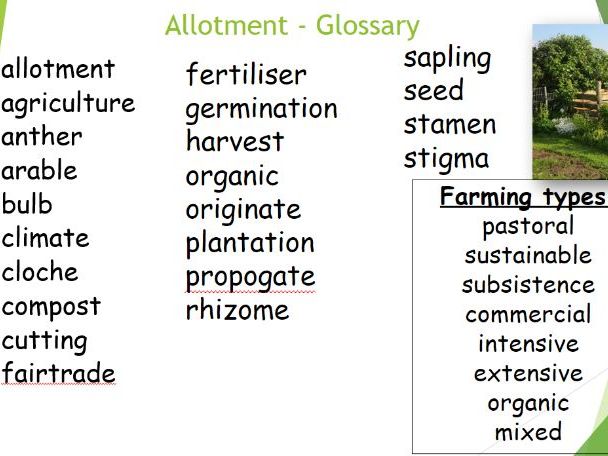 Allotment glossary words