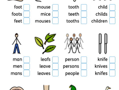 Y2/3 Complete lesson irregular plural nouns